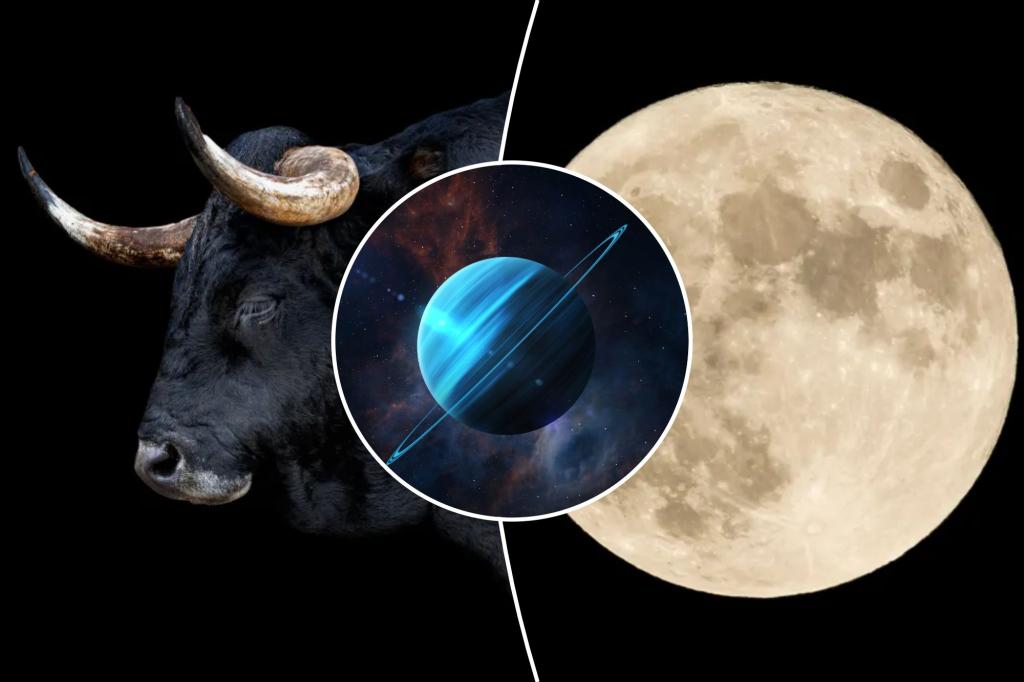 The Full Moon in Taurus is coming - hold on and ride it until it pulls you