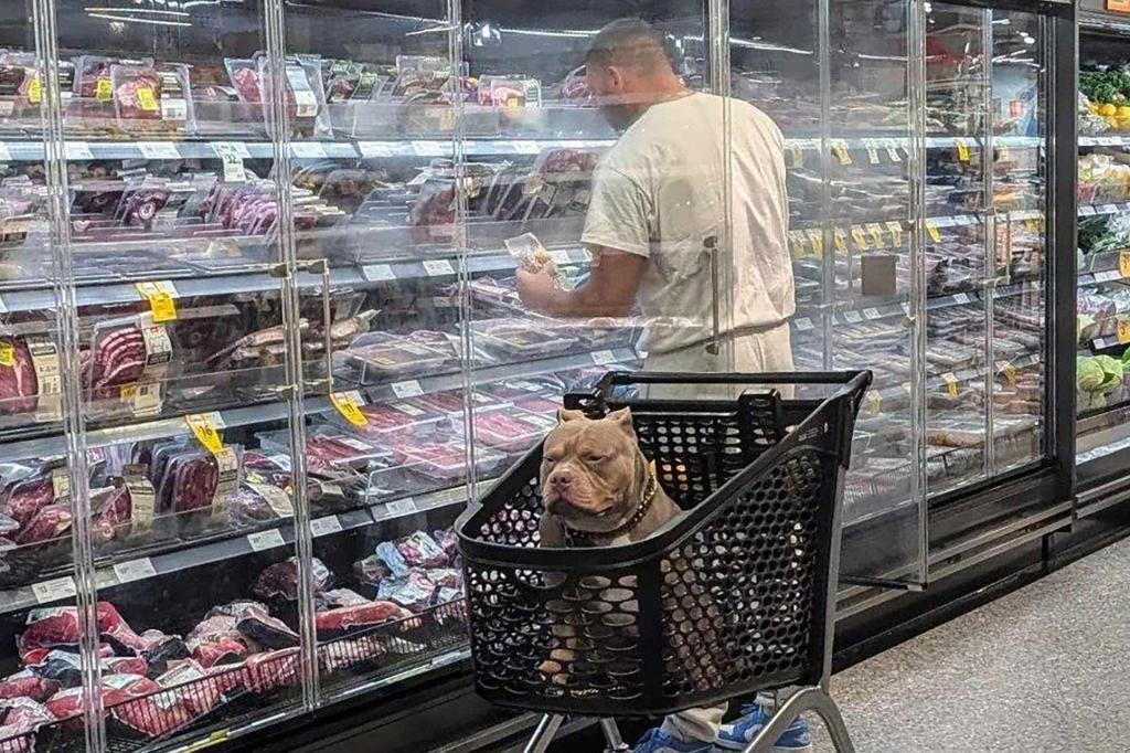 Is it too much to let your dog do this at the grocery store? Debate broke out over the 'gross' act