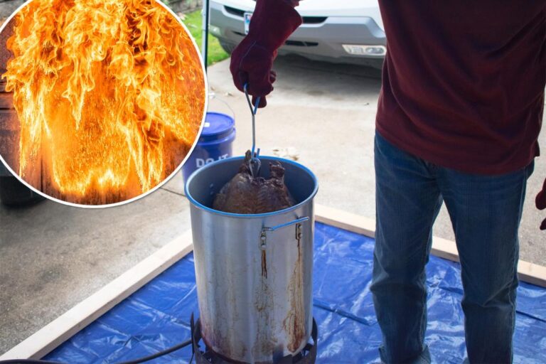 Red Cross warns Thanksgiving is a peak day for cooking fires - follow these tips to prevent disaster

