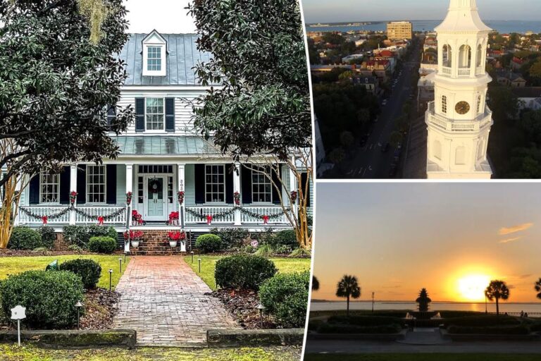 2024 'major job magnet' suburb revealed: Families are flocking to this safe and affordable haven

