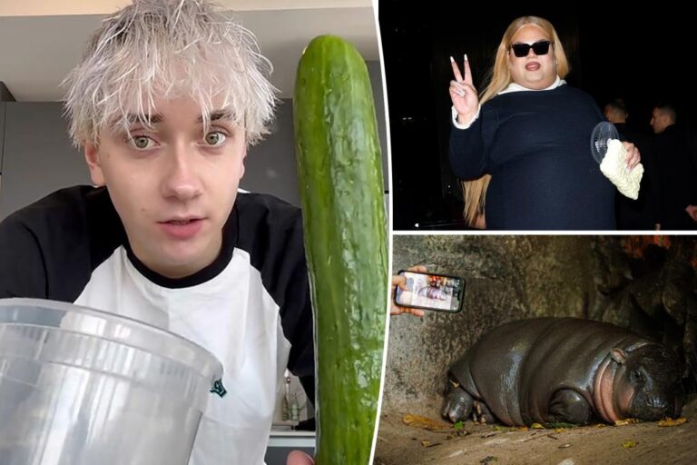 TikTok ranked their most popular viral trends of 2024

